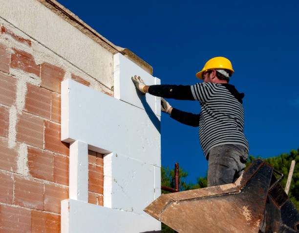 Best Geographic-Specific Insulation Services in Williston Highlands, FL