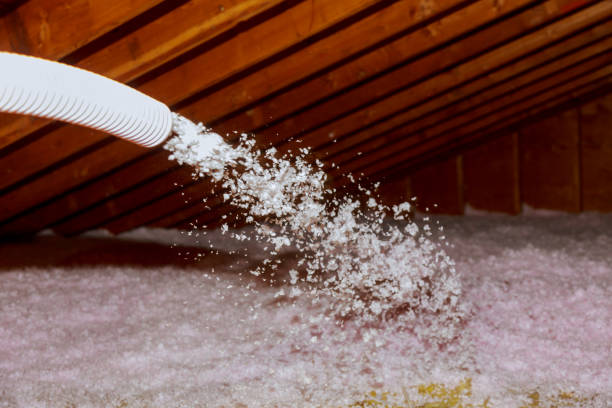 Trusted Williston Highlands, FL Insulation Contractor Experts