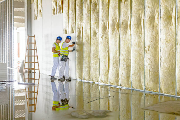 Best Eco-Friendly Insulation in Williston Highlands, FL